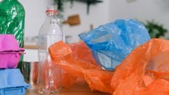 Día Internacional Libre de Bolsas de Plástico: ¿cuál es la situación en México y el mundo sobre su uso? 