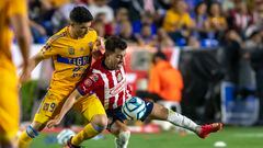 Tigres are searching for their first Liga MX title since Clausura 2019, while Guadalajara’s last victory came two years before that.