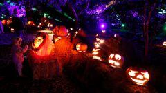 A child looks at a pumpkin depicting the character of Harry Potter during the Halloween themed exhibit &quot;Carved&quot; at Descanso Gardens in La Canada Flintridge, California, U.S., October 11, 2021. 