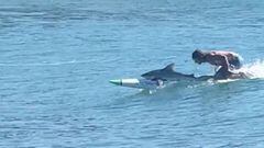 Surfista con un tibur&oacute;n en la tabla en Australia.