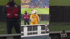 Vídeo: La vulgar seña de la mascota de Tigres a la afición de Monterrey en el Clásico Regio