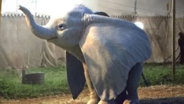 Filtran la primera imagen del nuevo Dumbo de Disney.
