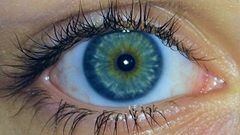 Los ojos azules y verdes son producto de una mutación genética