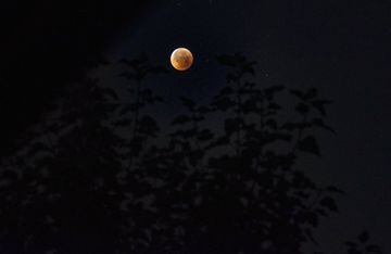 Imagen del eclipse lunar con luna de sangre 2018 desde Srinagar, India.