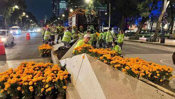 Flores de cempasúchil adornan avenidas de la CDMX por Día de Muertos