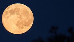 Calendario lunar febrero 2024: ¿cuáles son las fases de la luna y cuándo habrá luna llena este mes?