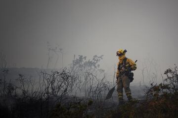 Bomberos de Asturias trabajan para extinguir las llamas en un incendio forestal en Toraño, Asturias (España). El Gobierno regional activó el pasado jueves por la noche  el Plan de Incendios Forestales del Principado de Asturias (INFOPA).