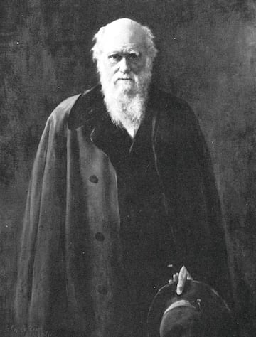 El creador de la teoría de la evolución por selección natural, Darwin trabajó como naturalista en el H.M.S. Beagle de 1831 a 1836 durante su estudio científico de América del Sur y el Pacífico Sur, utilizando la información obtenida del viaje para impulsar sus numerosas investigaciones. Su obra más conocida sigue siendo el libro de 1859 'El origen de las especies', una de las teorías científicas más polémicas del siglo XIX y más allá.