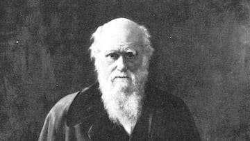 Naturalist Charles Darwin was born on February 12, 1809, in Shrewsbury, England. The originator of the theory of evolution by natural selection, Darwin served as naturalist on the H.M.S. Beagle from 1831-1836 during its scientific survey of South America and the South Pacific, using information gained from the voyage to fuel his numerous investigations. His best known work remains the 1859 book 'Origin of the Species', one of the most contentious scientific theories of the 19th century and beyond. (Credit Hulton Archive/Getty Images)   