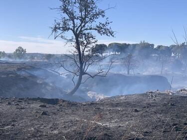 El club corrige errores en la documentación de la ciudad deportiva