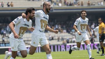 Pumas