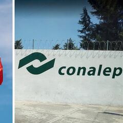 Egresados de Conalep a Canadá: cuál es la oferta laboral en el extranjero, fechas y requisitos