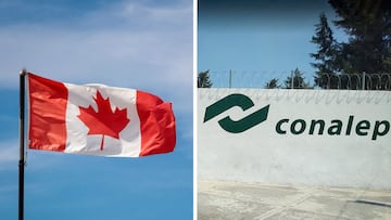 Egresados de Conalep a Canadá: cuál es la oferta laboral en el extranjero, fechas y requisitos