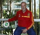 Del Bosque: "No castigaremos a nadie por la derrota en Brasil"
