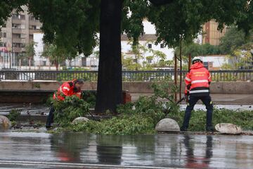 Caída de ramas de árboles en el centro de Sevilla.