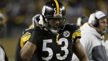 Fans of the Pittsburgh Steelers will be in mourning this weekend, with the news that one of their former greats has passed away at a relatively young age.