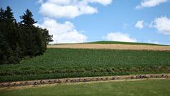 El Tour de Francia deja atrás la década de los horrores y nos regala el mejor espectáculo