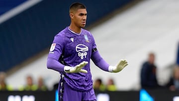 Devis Vásquez en un partido del Sheffield Wednesday.