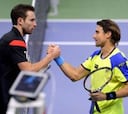 Ferrer ganó a Gulbis y luchará por el título con Grigor Dimitrov