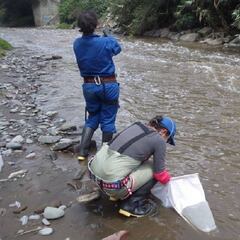 Detectan restos de coronavirus en el río Manzanares a su paso por Getafe