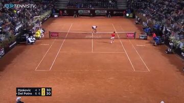 La reacción de Djokovic ante el increíble punto de Del Potro