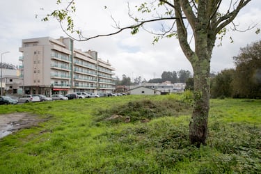 Amaro da Cavada, la raíz portuguesa del fútbol de Antoine Griezmann