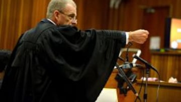 El fiscal Nel asegura que la novia de Pistorius estaba hablando con &eacute;l cuando &eacute;ste la tirote&oacute;. 