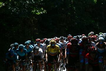 El belga Greg Van Avermaet y el resto del pelotón atraviesan un bosque. 