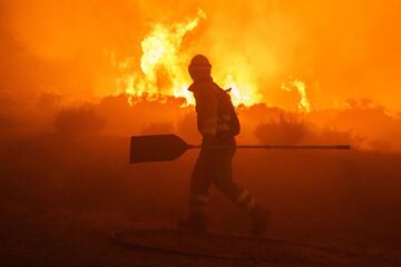 Dos incendios desatados en la provincia de Ávila han provocado la evacuación de los municipios de Riofrío, Sotalbo, Villaviciosa, Palacios y Robledillo, además de quemar 10.000 hectáreas. La situación ha obligado la intervención de la Unidad Militar de Emergencias. 