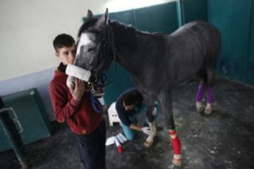 En Veliefendi, Turquía, existe uno de los hospitales equinos más grandes e importantes en el mundo de la hípica. Los caballos reciben todas las atenciones veterinarias necesarias para su correcta recuperación. 
