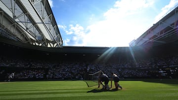 Around 1,000 teenagers apply to become a ‘BBG’ at the world’s most famous grass surface tennis tournament with a quarter being selected.