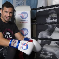 Un combate para resurgir