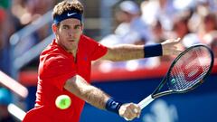 MON09. MONTREAL (CANADÁ), 09/08/2017.- Juan Martin Del Potro de Argentina devuelve una bola a Denis Shapovalov de Canadá hoy, miércoles 9 de agosto de 2017, durante un partido de la segunda ronda del torneo Masculino ATP en Montreal (Canadá). EFE/ANDRE PI