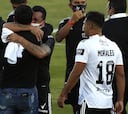 La poda masiva en Colo Colo que dará inicio al plan 2021