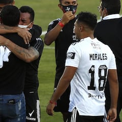 La poda masiva en Colo Colo que dará inicio al plan 2021