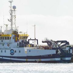 Nuevo hallazgo que podría ser clave en la búsqueda de Tomás Gimeno y Anna