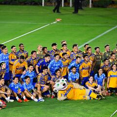 Tigres cautiva con entrenamiento mixto