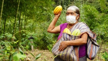 Créditos AgroMujer: fechas, montos, requisitos y cómo postular a la ayuda