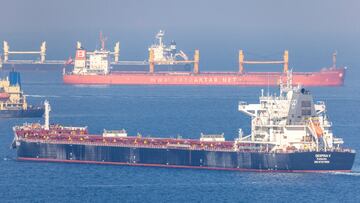 FILE PHOTO: Cargo ship Despina V, carrying Ukrainian grain, is seen in the Black Sea off Kilyos near Istanbul, Turkey November 2, 2022. REUTERS/Umit Bektas/File Photo