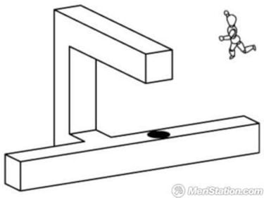 Echochrome, Impresiones