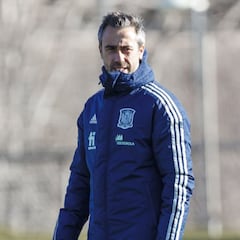 "Las jugadoras tienen esta cita con Alemania entre ceja y ceja"