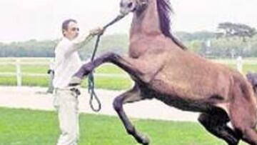 sIN PRECEDENTES. La empresa Cryozootech clonó a Pieraz.