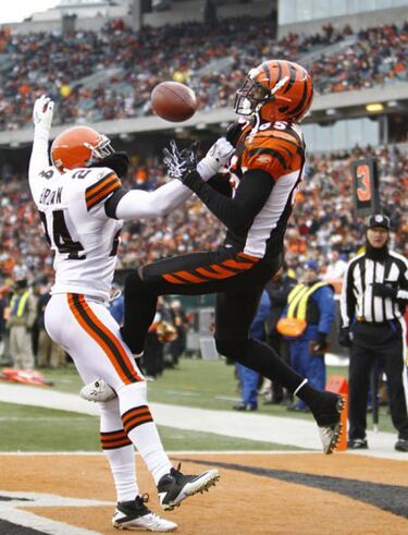 Malos tiempos para los felinos