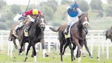<b>GRAN CARRERA. </b>Machado y 'La Quintería', segundos por la derecha, camino del triunfo.