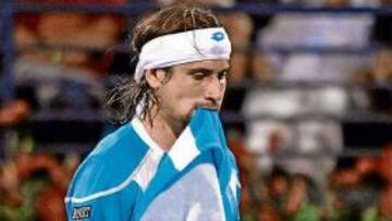 <b>HASTA BENIDORM. </b>Ferrer y Djokovic tienen otra cita: en Benidorm.