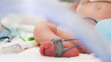 Cuando elegir un nombre ya no es libre; ahora, el sorprendente giro legal que altera cómo se nombra a los bebés.