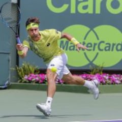 Ferrer y Verdasco ganaron y pasan de ronda junto a Djokovic