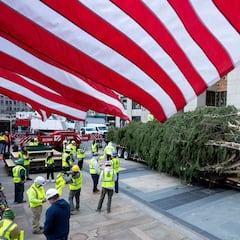 How much is the Rockefeller tree worth and what type of tree is it?