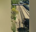 El heroico rescate in extremis a un perro que iba a ser arrollado por un tren