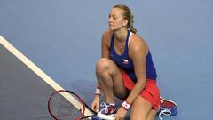 Two-time Wimbledon champion Petra Kvitova was injured after an attack by a knife-wielding burglar at her home 